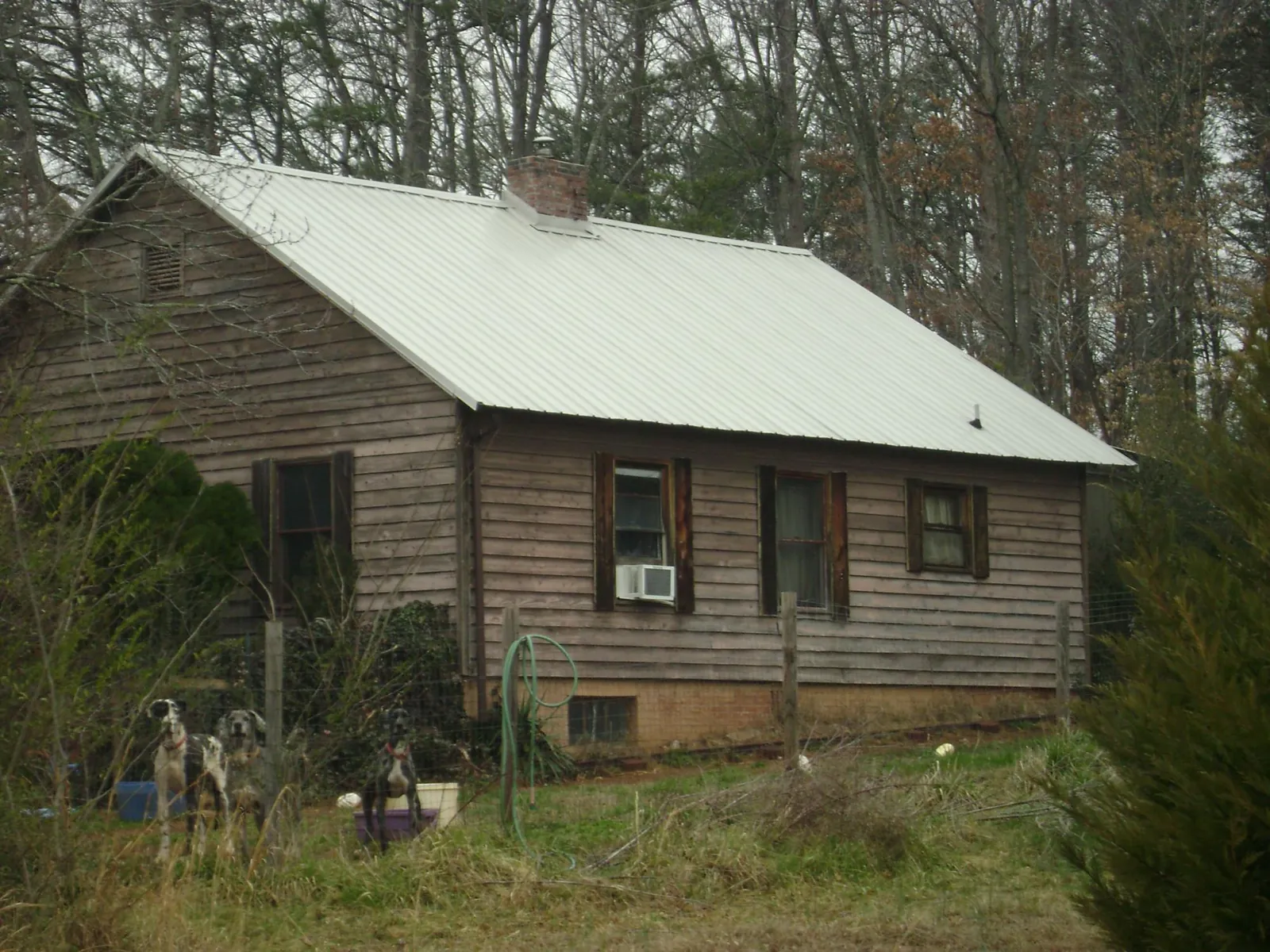 White metal roof on an old wood sided farmhouse, from a Asphalt Shingle Roof Repair job in East Springfield